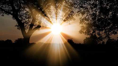 Standard Post with Image